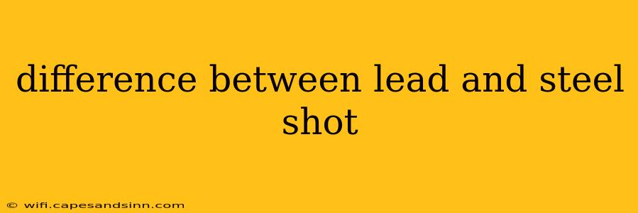 difference between lead and steel shot