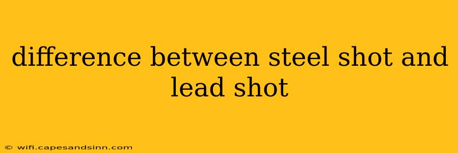 difference between steel shot and lead shot