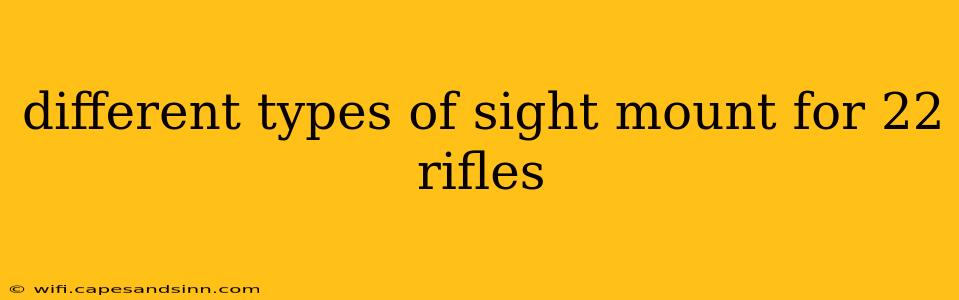 different types of sight mount for 22 rifles