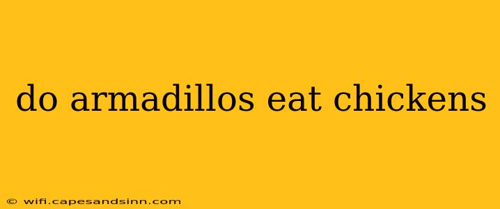 do armadillos eat chickens