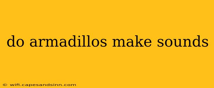 do armadillos make sounds