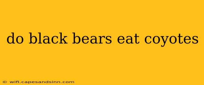 do black bears eat coyotes