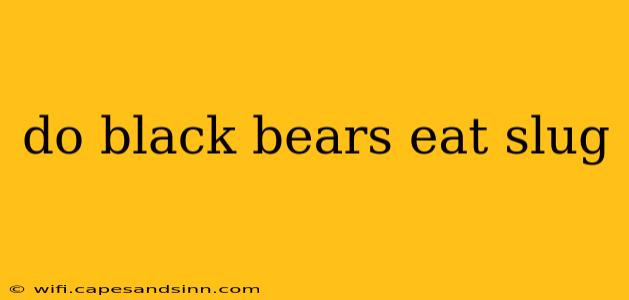 do black bears eat slug