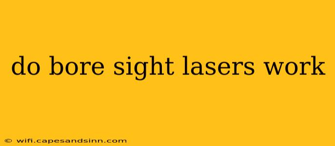 do bore sight lasers work