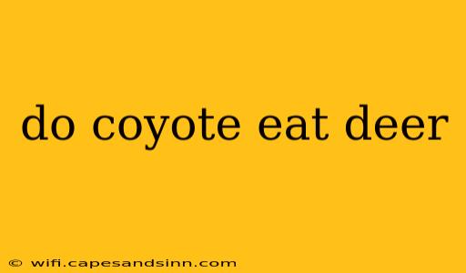 do coyote eat deer