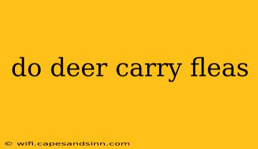 do deer carry fleas