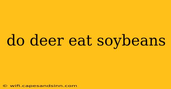 do deer eat soybeans