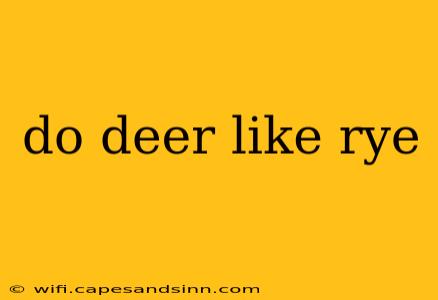 do deer like rye