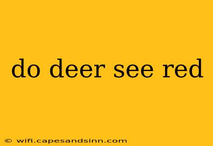 do deer see red