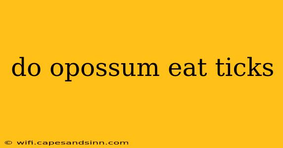 do opossum eat ticks