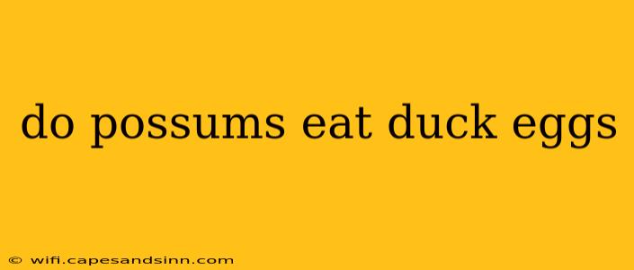 do possums eat duck eggs