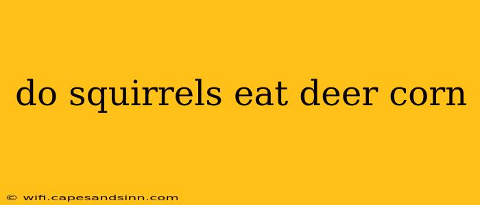 do squirrels eat deer corn