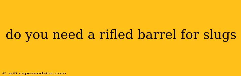 do you need a rifled barrel for slugs