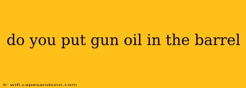 do you put gun oil in the barrel