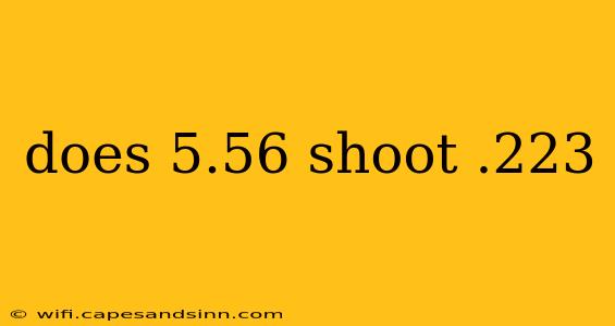 does 5.56 shoot .223