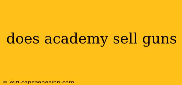 does academy sell guns