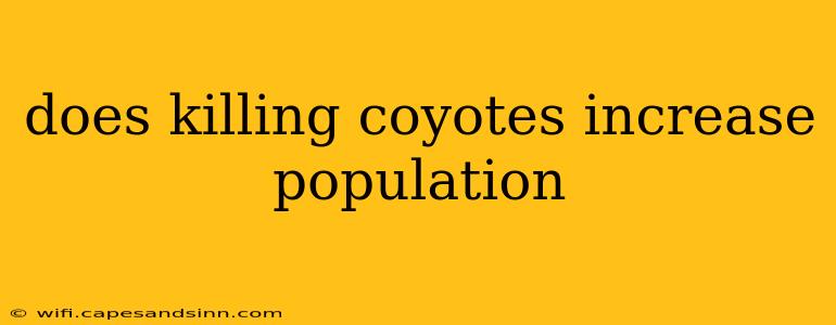 does killing coyotes increase population