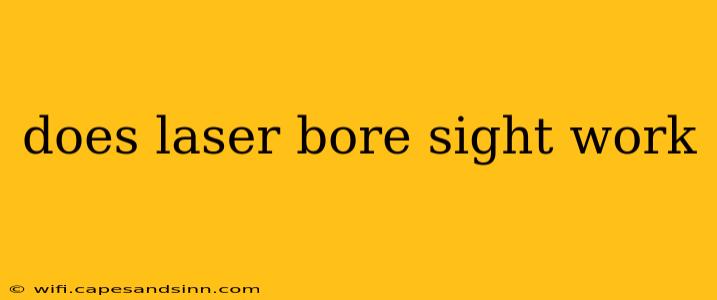 does laser bore sight work