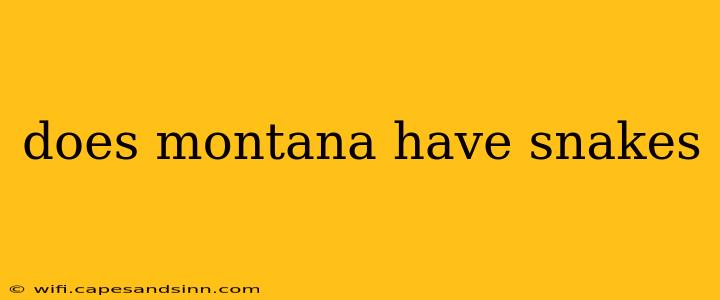 does montana have snakes