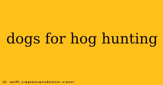 dogs for hog hunting