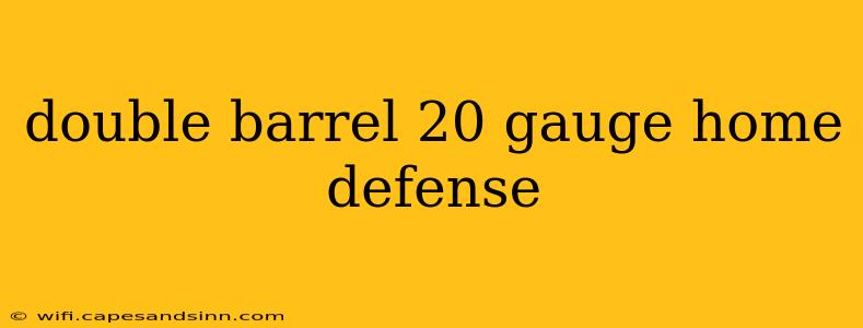 double barrel 20 gauge home defense