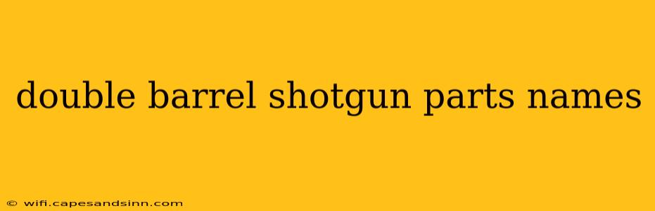 double barrel shotgun parts names