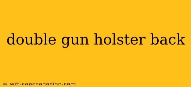 double gun holster back