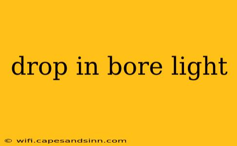 drop in bore light