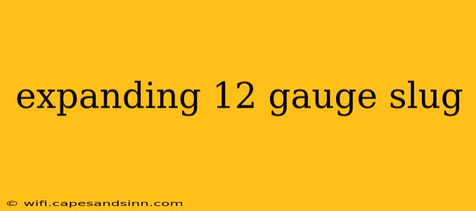 expanding 12 gauge slug