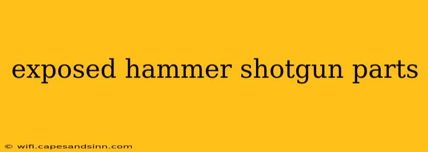 exposed hammer shotgun parts