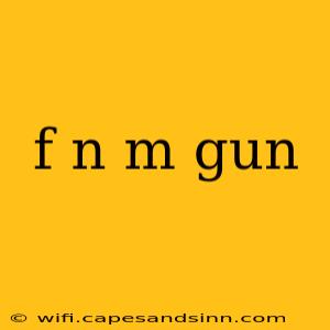 f n m gun