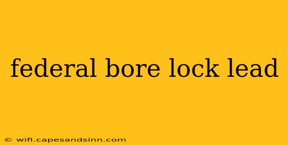 federal bore lock lead