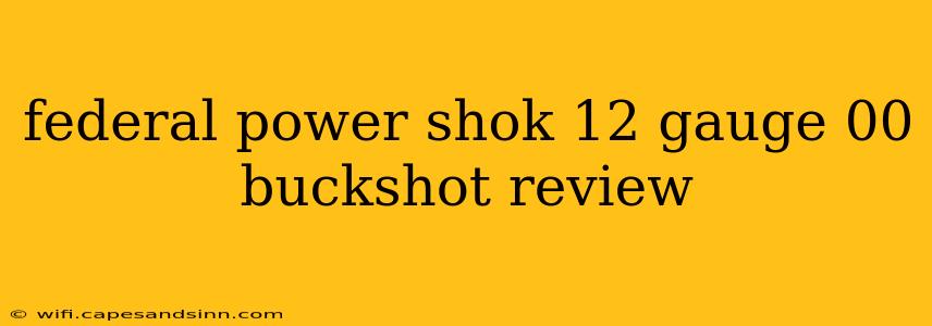 federal power shok 12 gauge 00 buckshot review