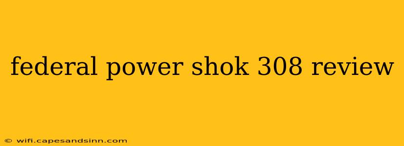 federal power shok 308 review