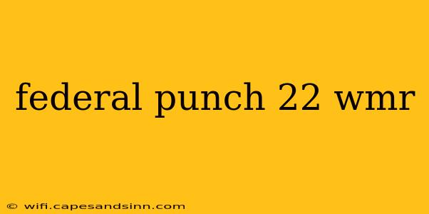 federal punch 22 wmr