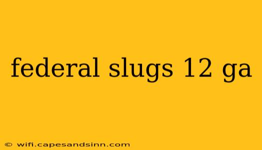 federal slugs 12 ga