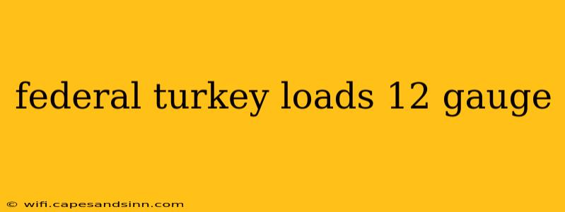 federal turkey loads 12 gauge