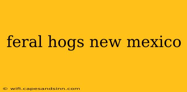 feral hogs new mexico