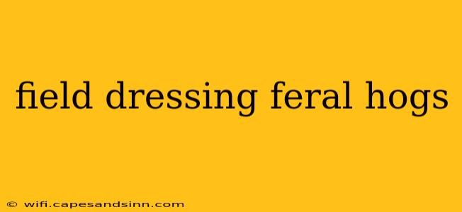 field dressing feral hogs