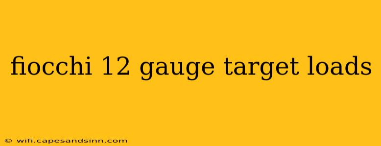 fiocchi 12 gauge target loads