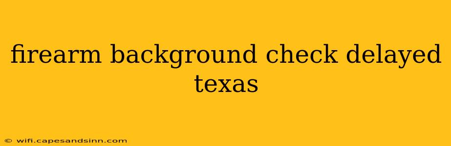 firearm background check delayed texas