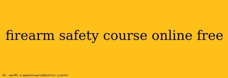 firearm safety course online free