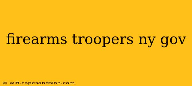 firearms troopers ny gov