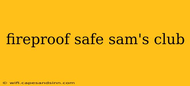 fireproof safe sam's club