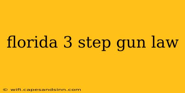 florida 3 step gun law