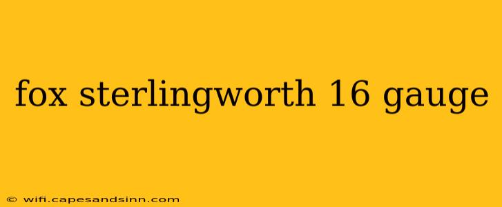 fox sterlingworth 16 gauge