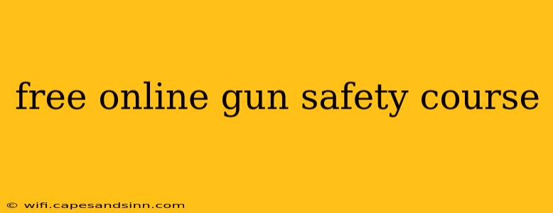 free online gun safety course