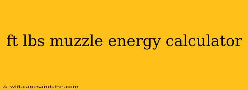 ft lbs muzzle energy calculator