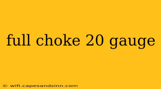 full choke 20 gauge