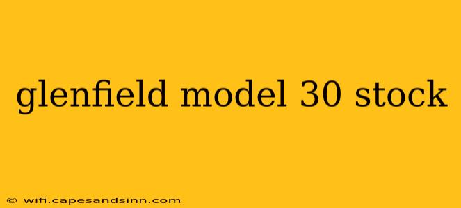 glenfield model 30 stock